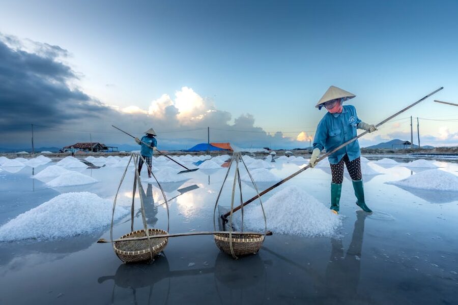 Salt farmers harvesting traditional salt at sunrise
