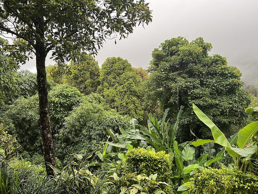 Munduk village in the central highlands of Bali