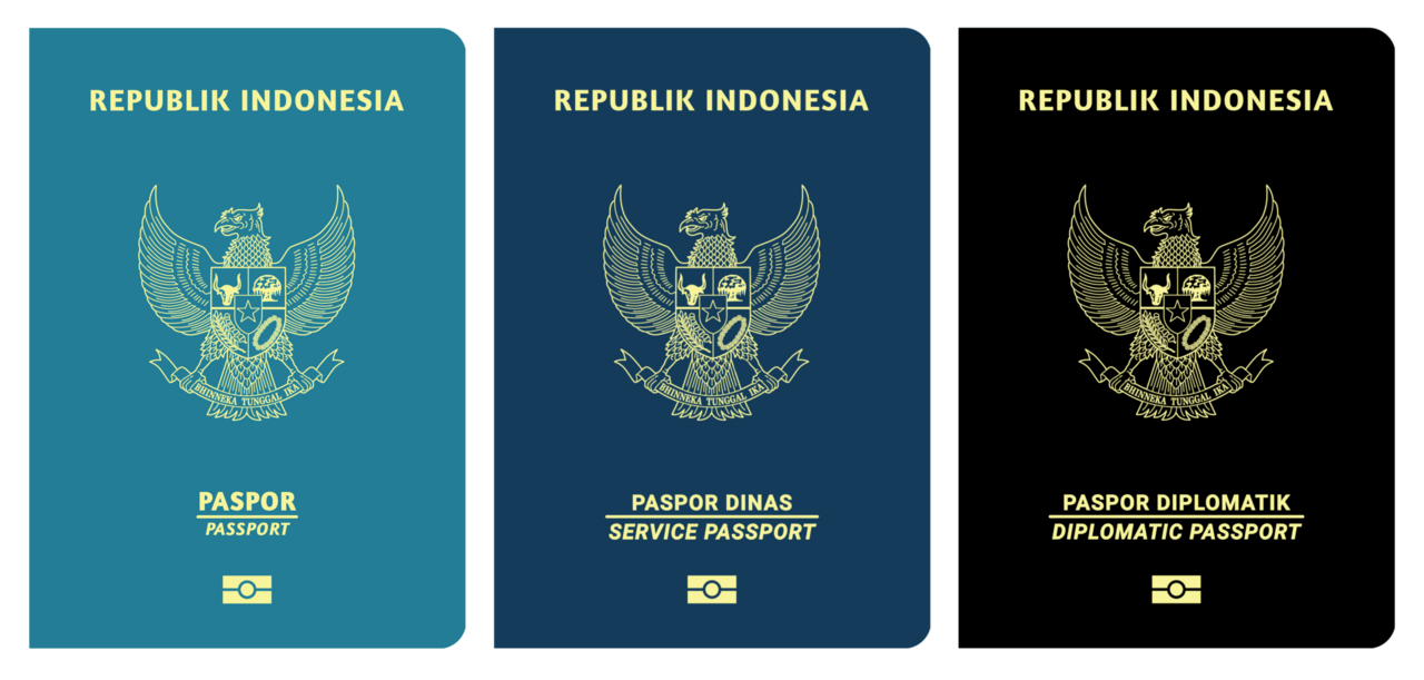 Diagram of Indonesian passport types