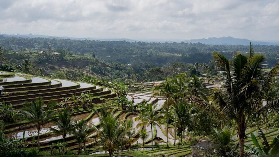 Jatiluwih rice terraces UNESCO World Heritage Bali