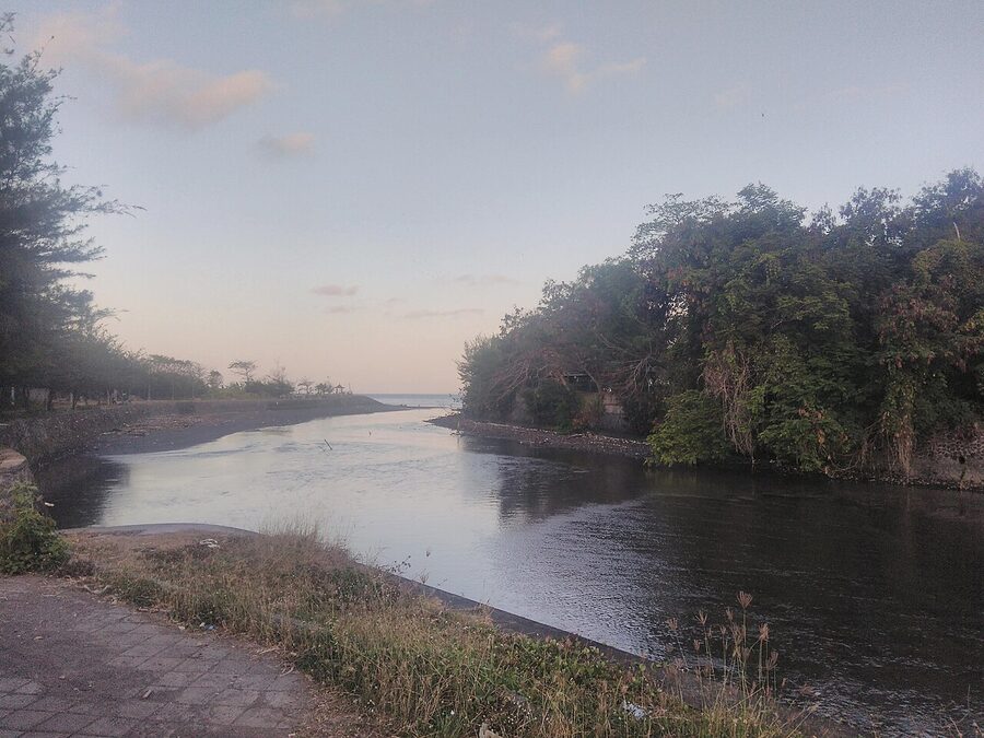 Ayung River, Bali jungle valley