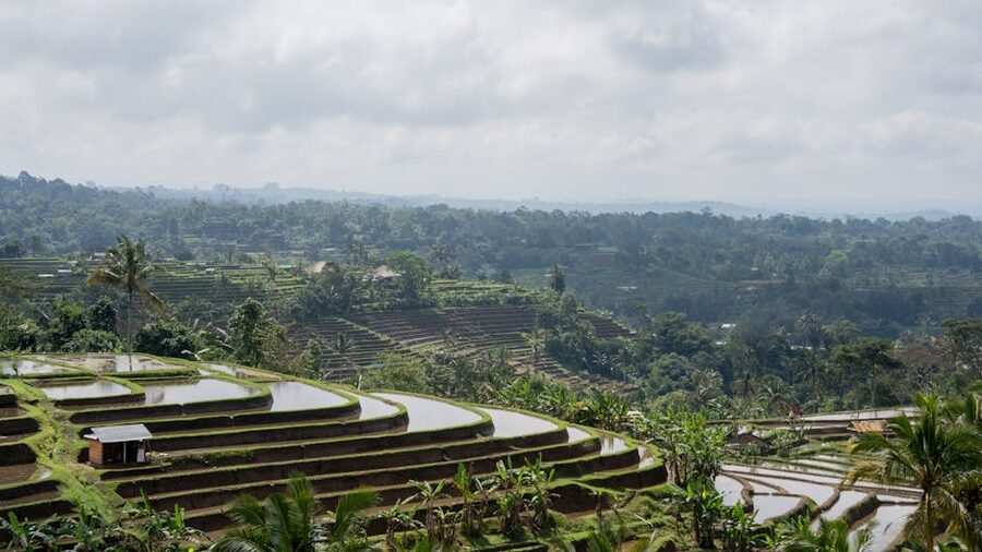 Jatiluwih rice terraces in Tabanan