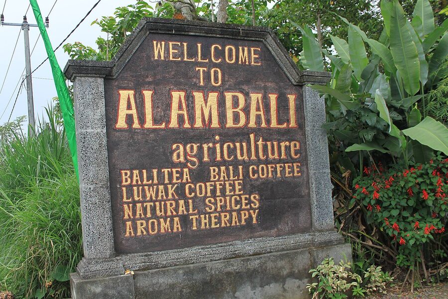 A kopi luwak plantation in Bali set up for tourist visits