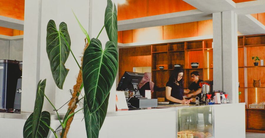 A modern, plant-filled Bali cafe interior used by Ubud digital nomads