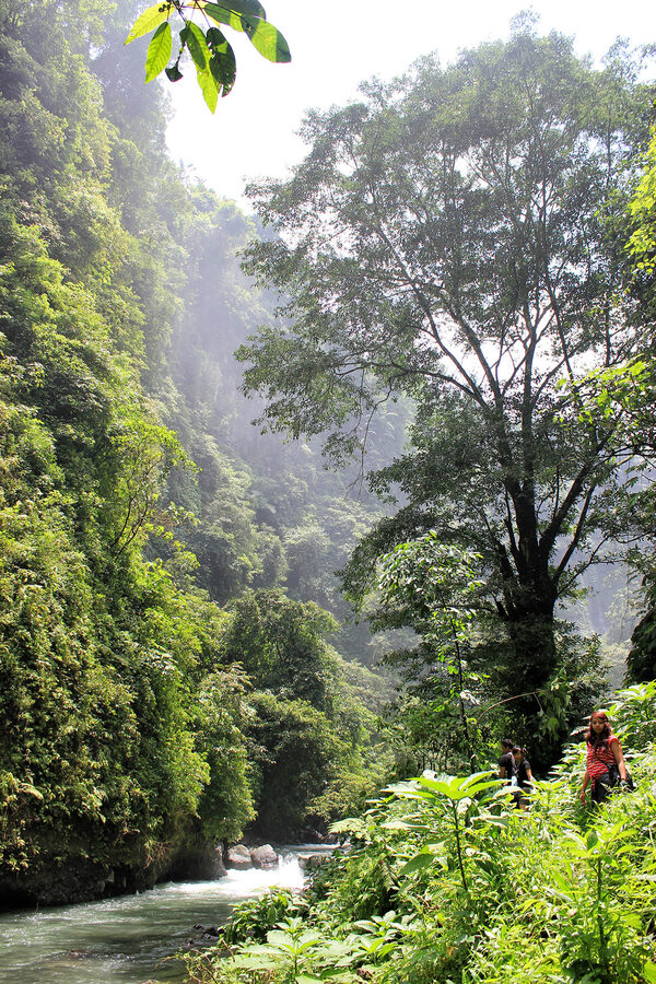 Trail descending the gorge towards Sekumpul Waterfall in north Bali