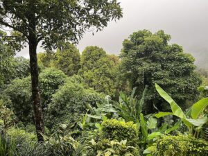 Munduk village highland view across forested ridges in north Bali