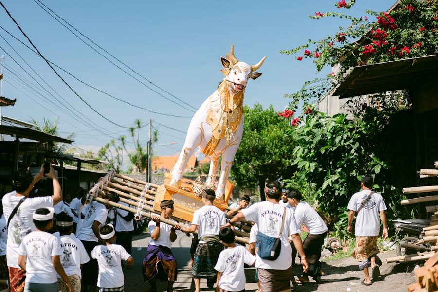 Ceremonial Balinese funeral procession with locals carrying an ornate white bull effigy through a village street