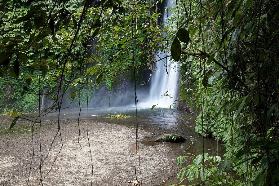 A tall waterfall in the jungle near Munduk, north Bali