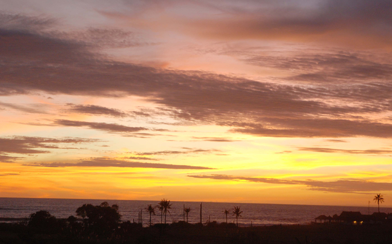 Sunset at Canggu beach Bali with palm trees in silhouette