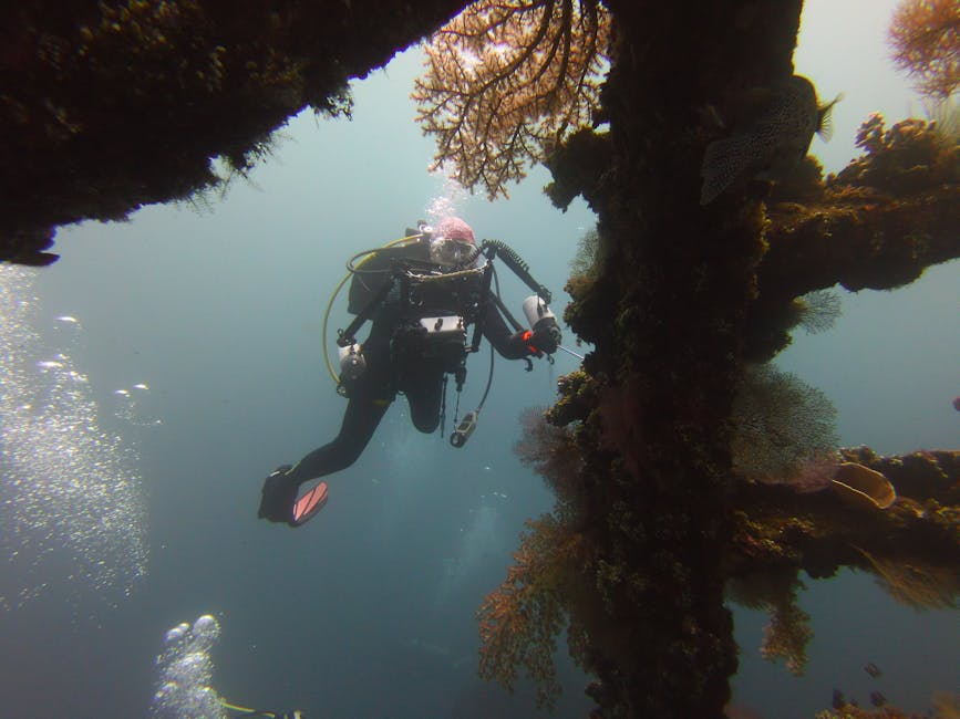 A scuba diver exploring underwater near a wreck and coral fans in Bali