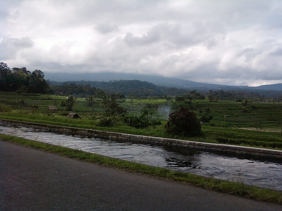 Sidemen rice terraces in east Bali