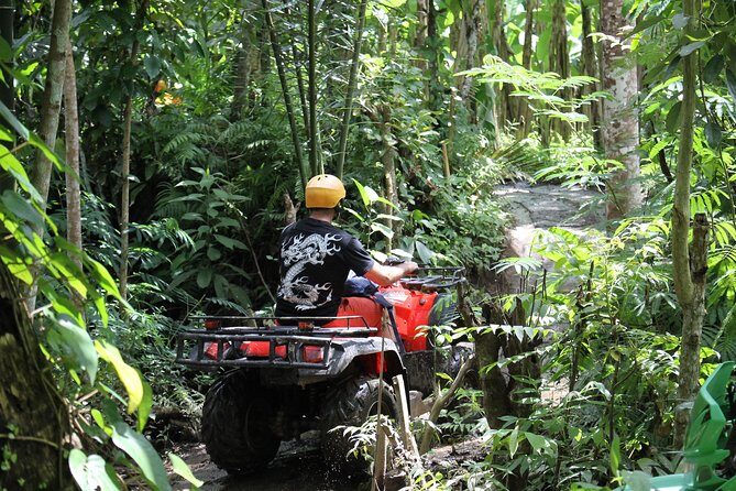 1.5 Hours Bali ATV Quad Tour - Solo vs tandem riding: how the age rules affect your options