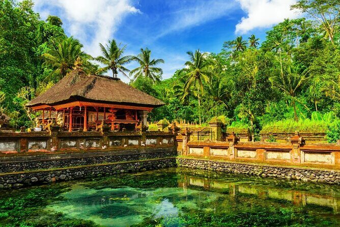 1-Day Ubud Tours All-Inclusive - Swing Experience and Lunch With a Terraces View: The Fun Break in the Middle
