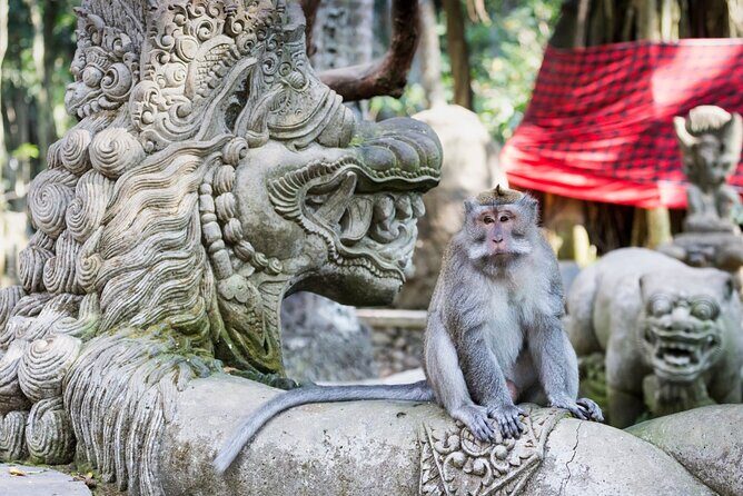 1-Day Ubud Tours All-Inclusive - Price and Logistics: Does $39.77 Feel Like Good Value?