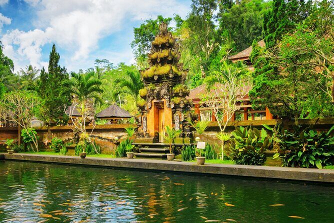1-Day Ubud Tours All-Inclusive - Tegalalang Rice Terraces: The View That Sets the Tone