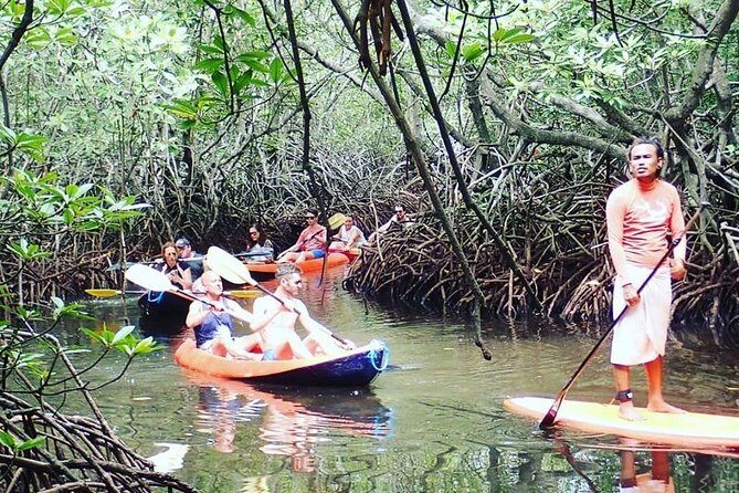 1 Hour Mangrove Tour From Lembongan with Kayak, Paddle, or Boat - Pickup that saves you from scooter math