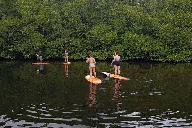 1 Hour Mangrove Tour From Lembongan with Kayak, Paddle, or Boat - Safety gear, lockers, and comfort in the tropics