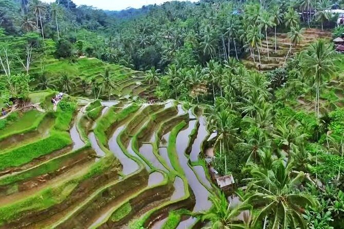 2-Day Experience Bali: Most Popular Tour - Day 2: temple country, lake views, and Tanah Lot’s sea-temple finish