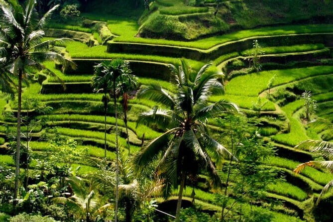 2 Days Mount Batur Sunrise Trekking With Private Ubud Day Tour - Breakfast and summit sunrise: getting the light without sprinting in darkness
