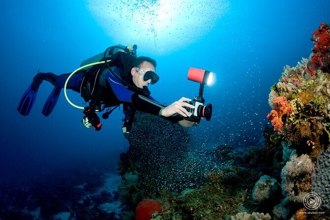 2 or 3 dives in Nusa Lembongan and Penida, for certified diver (in Lembongan) - Stop 1: Manta Point and How to Think About the Manta Odds
