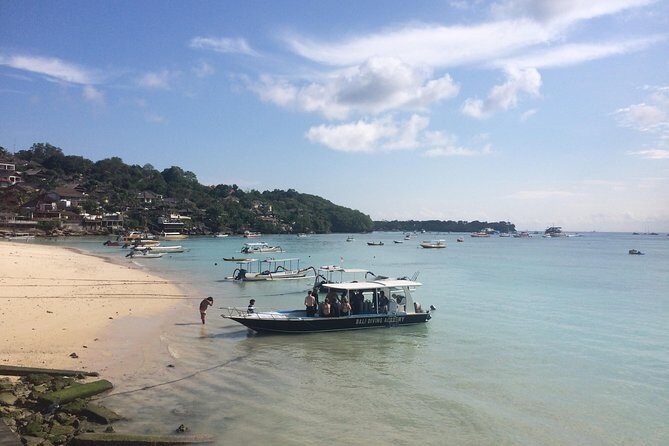 2 or 3 dives in Nusa Lembongan and Penida, for certified diver (in Lembongan) - Stop 3: Gamat Bay for a Longer Day (If You Choose 3 Tanks)