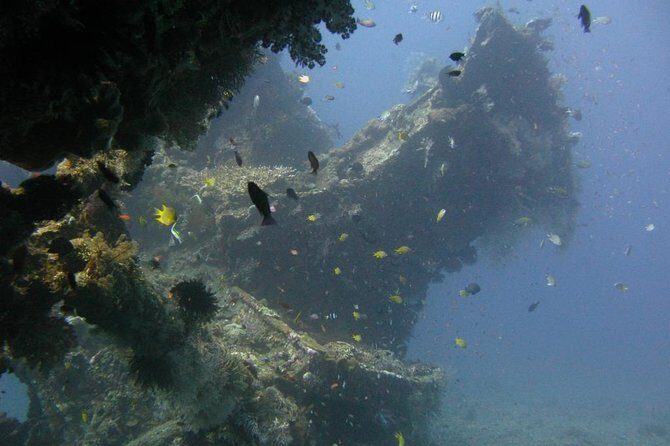 2 PADI Certified Dives at Tulamben from Bali - From Denpasar to Tulamben: the 7:00 am rhythm
