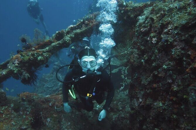 2 PADI Certified Dives at Tulamben from Bali - Who should book this Tulamben USAT Liberty day