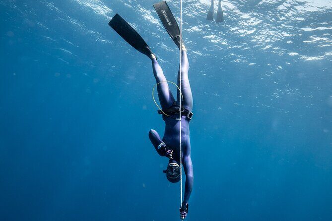 3-Day Freediving Level 1 Course - Price and value: is $450 fair for three days?