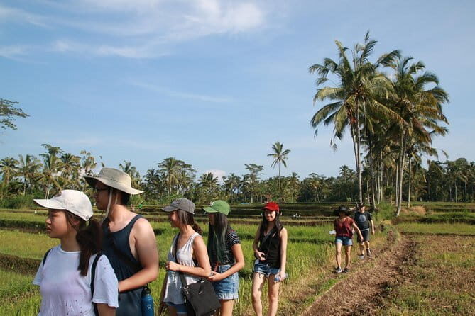 3-Day Private Sightseeing Tour of Bali with Hotel Pickup - Practical Tips: Temple Etiquette, Rain, and What to Pack