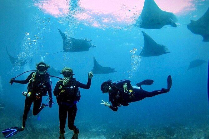 3 Epic Dives in Nusa Penida - Certified Divers' Day Trip - Key things I’d bet on