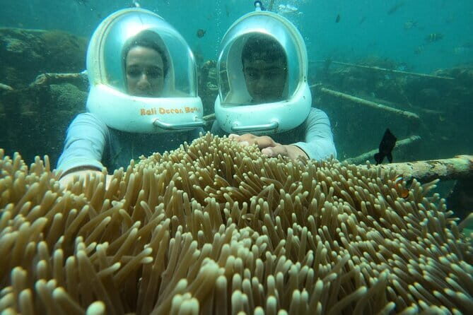 30 Minutes Ocean Walking in Nusa Dua, Bali - Price and Value: Is $55 for 30 Minutes Reasonable?