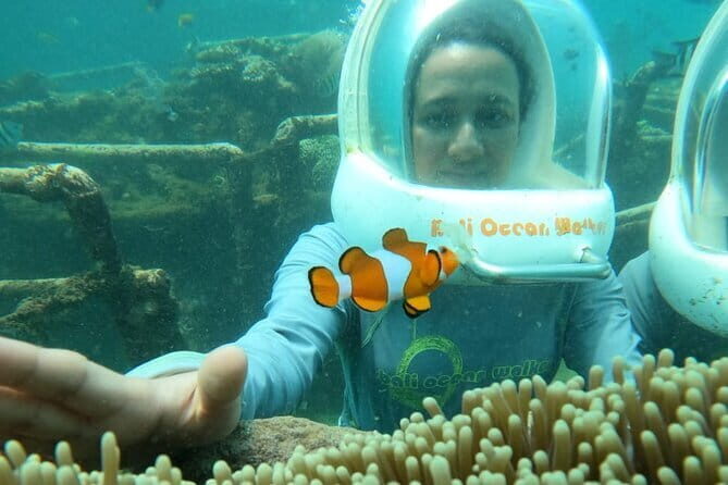 30 Minutes Ocean Walking in Nusa Dua, Bali - Getting There in Comfort: Private Car and a Max of 15 People