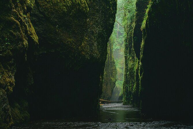 3Hrs Intermediate Canyoning in North Bali (Pickup, Lunch & GoPro) - The Yeh Muncat course: slides, jumps, ziplines, rappels, and the work in between