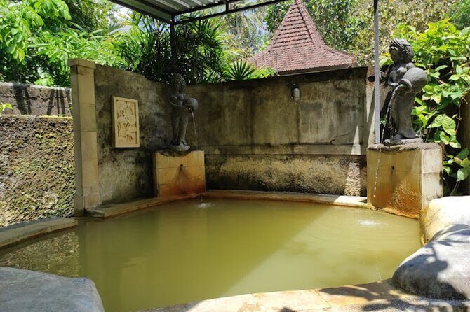 4-Hour Private Tour in Jatiluwih Terraces and Butterfly Park - Penatahan Waterspring hot spring break