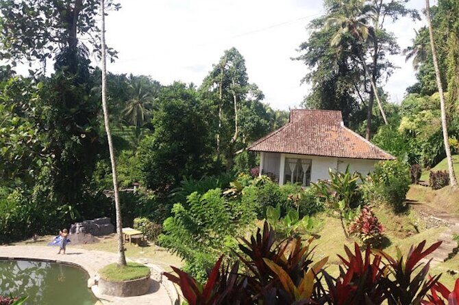 4-Hour Private Tour in Jatiluwih Terraces and Butterfly Park - Price and value: what $70 really buys