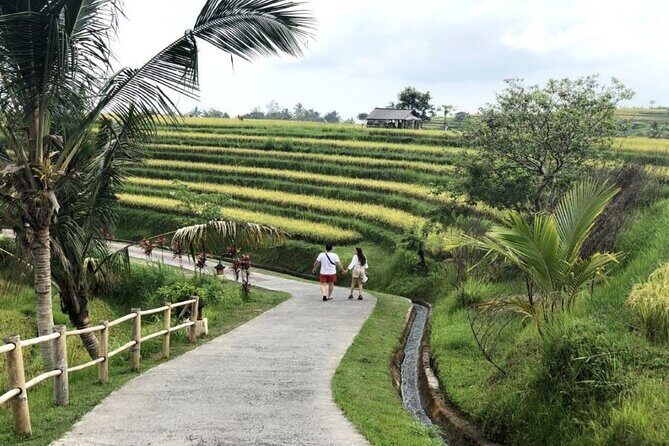 4-Hour Private Tour in Jatiluwih Terraces and Butterfly Park - Bali Butterfly Park: easy wildlife time with room to wander