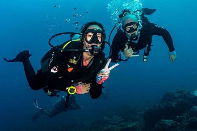 5 Fun Dives in Pemuteran (for certified divers) - Exploration in Menjangan Park - Certified-diver fit: refresher rules and timing reality