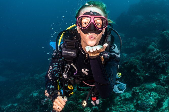 5 Fun Dives in Pemuteran (for certified divers) - Exploration in Menjangan Park - Menjangan Park sites: what you’re there to see