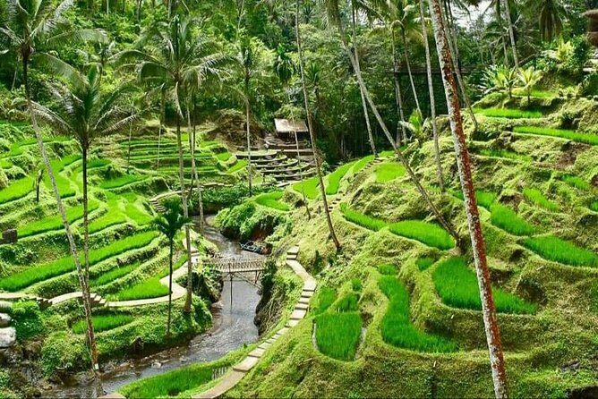 6 Days Best Of Bali And Nusa Penida All Inclusive Private Tour - Value for $52.18: What Makes This Price Feel Real