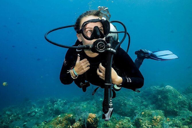 7 Fun Dives in Nusa Lembongan (for certified divers) - Premium Value Package - Your route through the underwater sites: what each stop gives you
