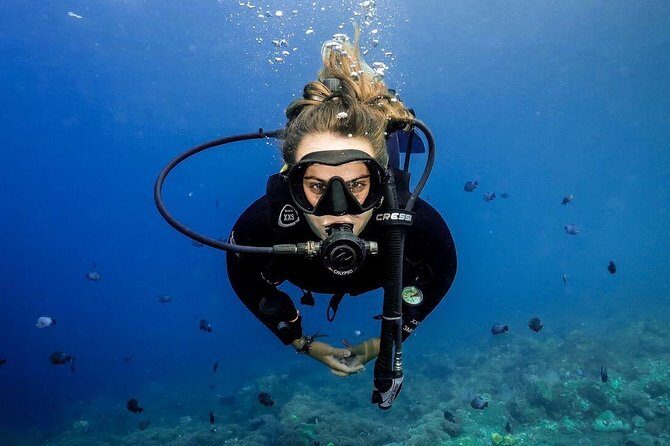 Advanced Open Water Course - Advanced Certification in Lembongan (next to Bali) - Who This Course Fits Best (and Who Might Want to Wait)