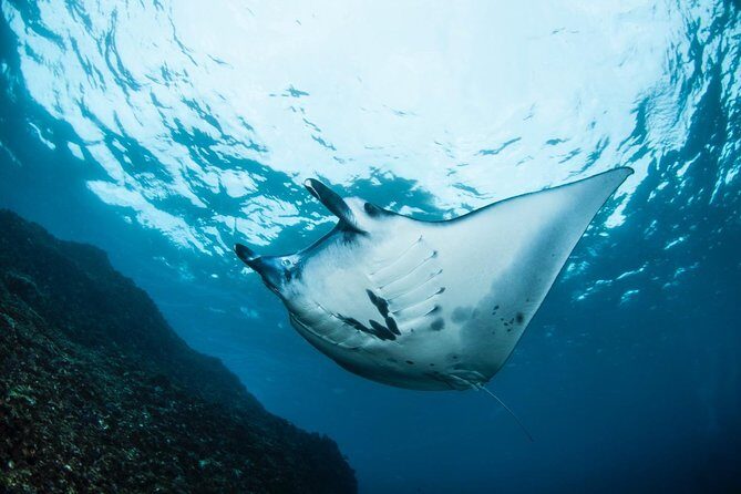 Advanced Open Water Course - Advanced Certification in Lembongan (next to Bali) - Price Check: Is $431.28 a Good Value for a 2-Day Course?
