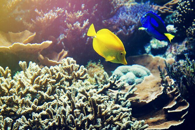 (ALL- IN) Bali Snorkeling Blue Lagoon with Waterfall Visit - Getting to Padang Bai: Timing and the Real World of a 10-Hour Day