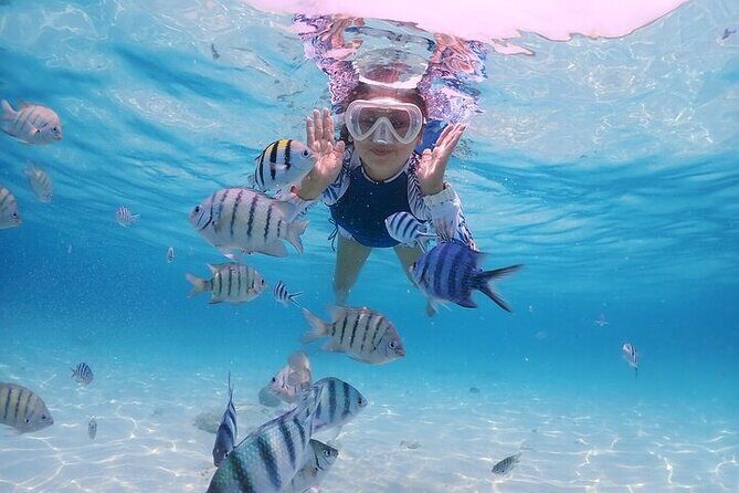 (ALL- IN) Bali Snorkeling Blue Lagoon with Waterfall Visit - Tegenungan Waterfall at 3:00 PM: A View Stop With Serious Photo Energy