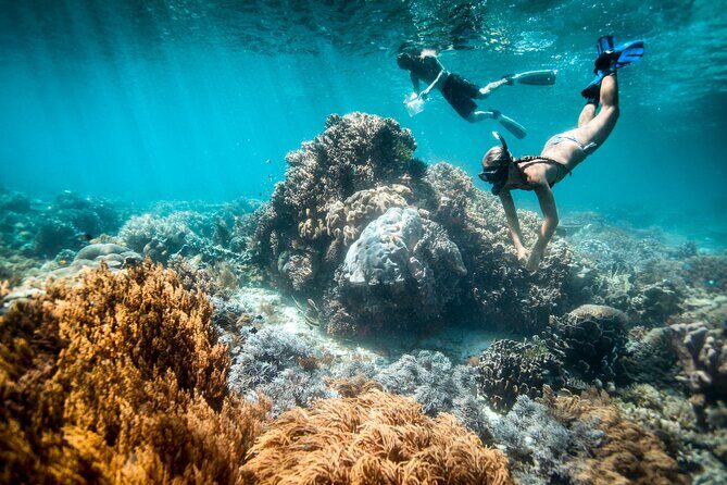 All Inclusive Bali Blue Lagoon and Tanjung Jepun Snorkeling - Quick Highlights Before You Go