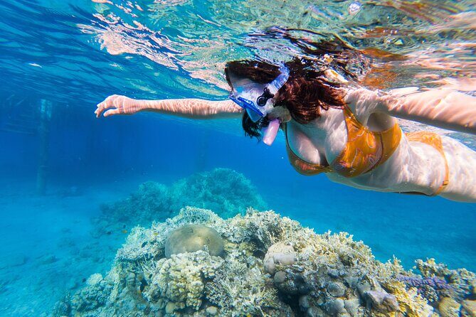 All Inclusive Bali Blue Lagoon and Tanjung Jepun Snorkeling - Price and Value: What You’re Paying For