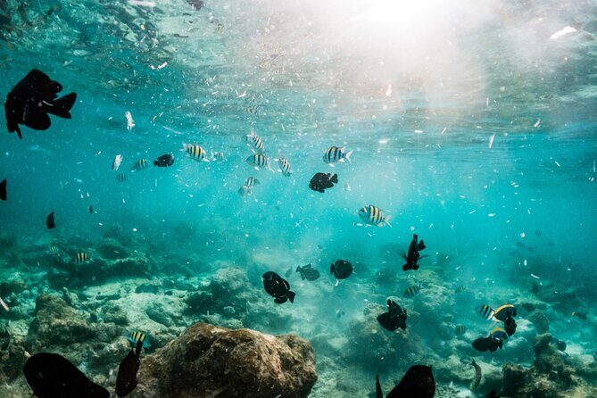 All Inclusive Bali Blue Lagoon and Tanjung Jepun Snorkeling - Gear, Guides, and the Small Things That Make It Easier