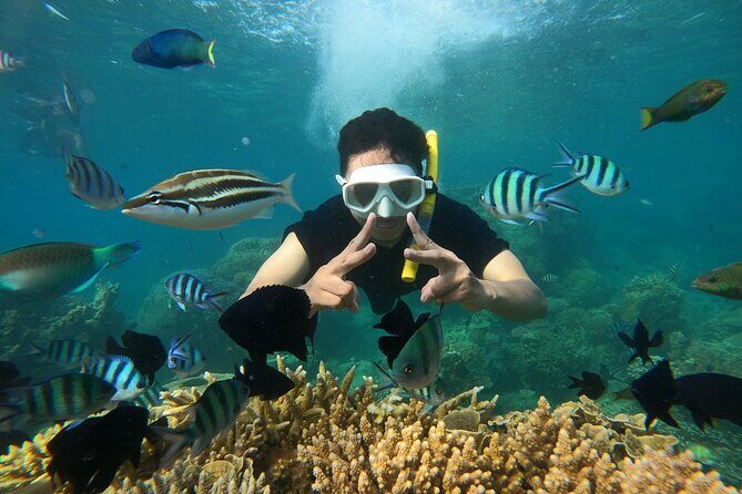 All Inclusive Bali Blue Lagoon and Tanjung Jepun Snorkeling - What You’ll See: Fish, Reefs, and Photo Opportunities