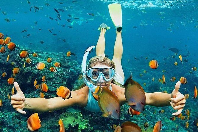 All Inclusive : Bali Blue Lagoon Snorkeling, Lunch, and Transport - Ubud to Padangbai logistics: how the 6-hour day actually feels