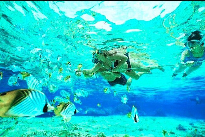 All Inclusive : Bali Blue Lagoon Snorkeling, Lunch, and Transport - Upgrades that turn snorkeling into an adventure day